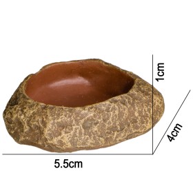 Terrario Rock Oasis XS – 5.5x4x1 cm Bowl